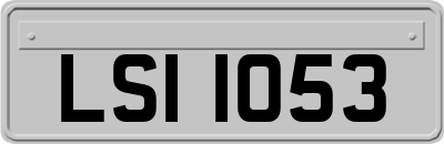 LSI1053