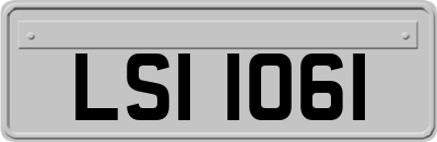 LSI1061