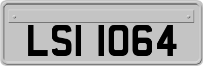 LSI1064