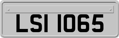 LSI1065