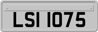 LSI1075