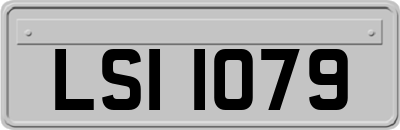 LSI1079