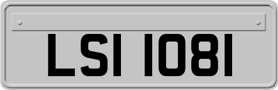 LSI1081