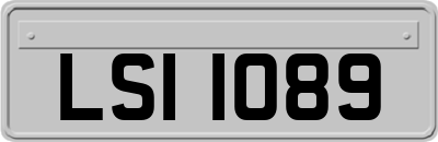 LSI1089