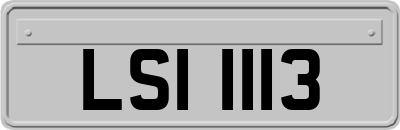 LSI1113
