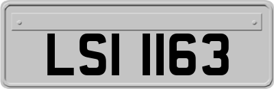 LSI1163