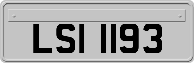 LSI1193