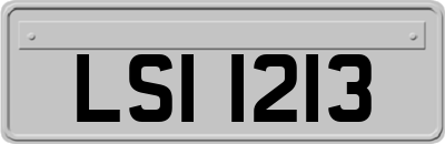LSI1213