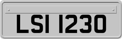 LSI1230