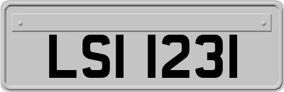 LSI1231