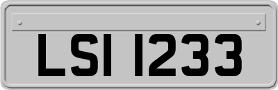 LSI1233