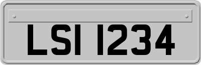 LSI1234