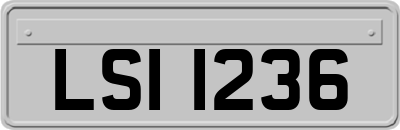 LSI1236