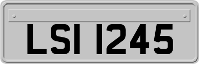 LSI1245