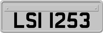 LSI1253