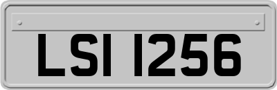 LSI1256