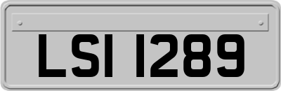 LSI1289