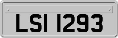 LSI1293