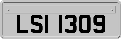 LSI1309