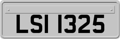 LSI1325