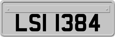 LSI1384