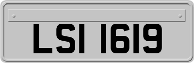 LSI1619