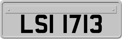 LSI1713