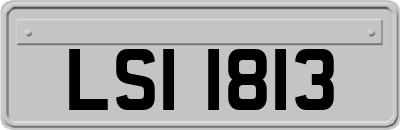 LSI1813