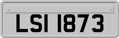 LSI1873