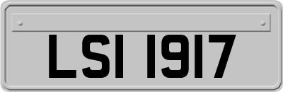 LSI1917