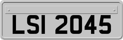 LSI2045
