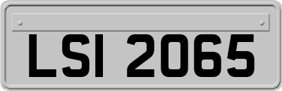 LSI2065