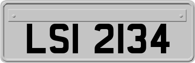 LSI2134