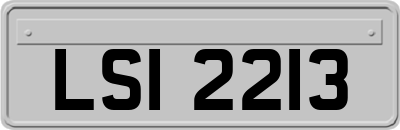 LSI2213