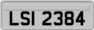 LSI2384
