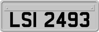 LSI2493