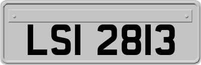 LSI2813