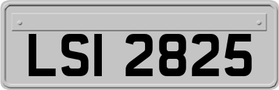 LSI2825