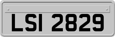 LSI2829