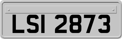 LSI2873