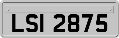 LSI2875