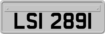LSI2891