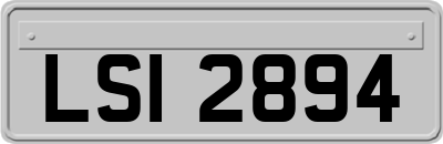 LSI2894