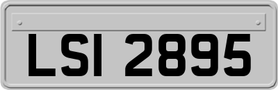 LSI2895