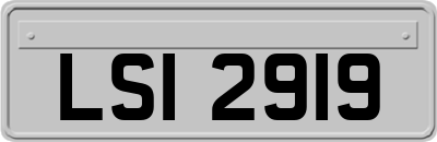 LSI2919