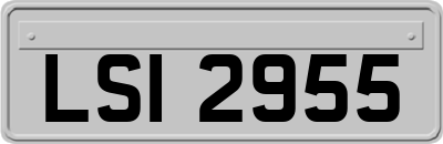 LSI2955