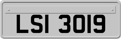 LSI3019
