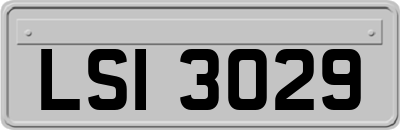 LSI3029