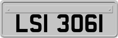 LSI3061