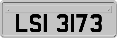 LSI3173